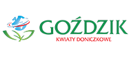 Goździk